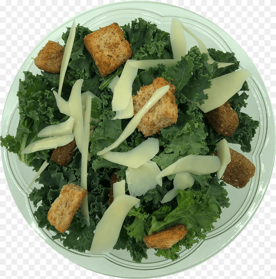 Kale Cesar Salad Caesar Salad, Food, Food Presentation, Plate, Cilantro Png