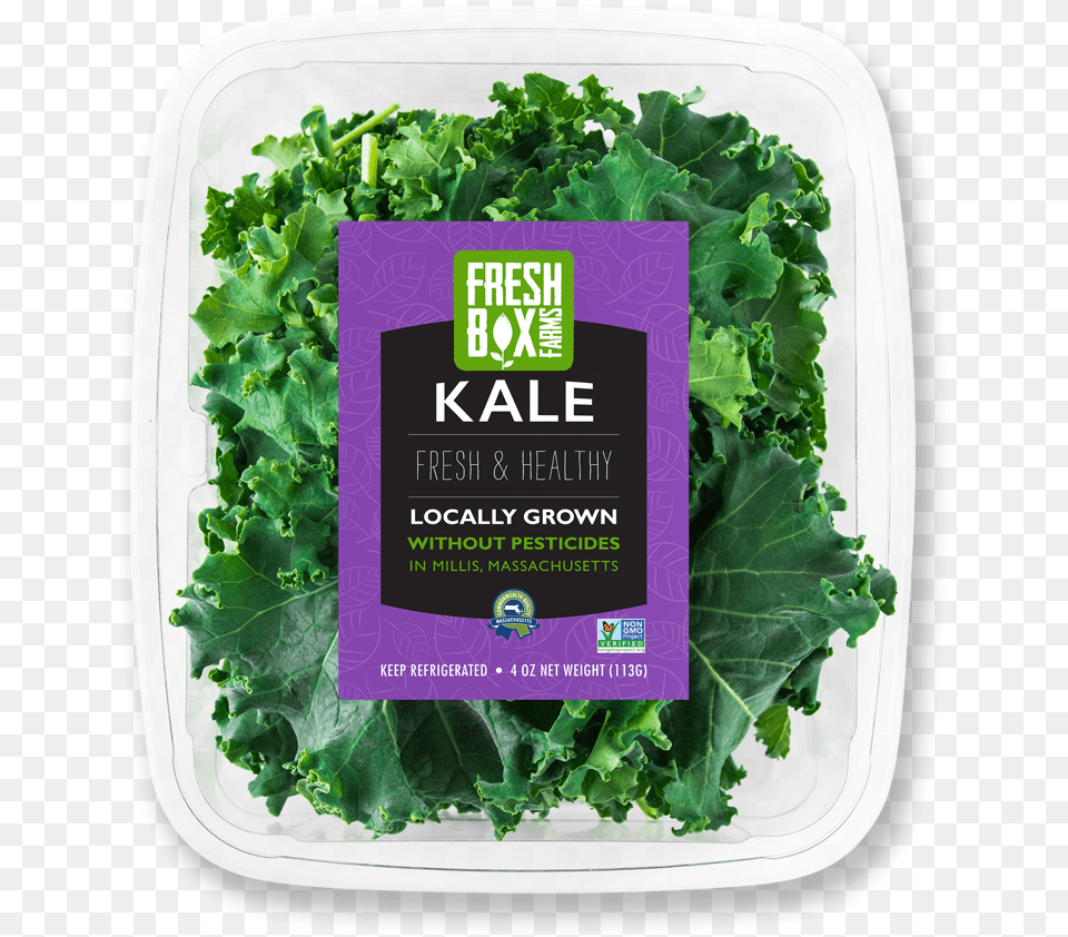 Kale Curly Kale, Food, Leafy Green Vegetable, Plant, Produce Png