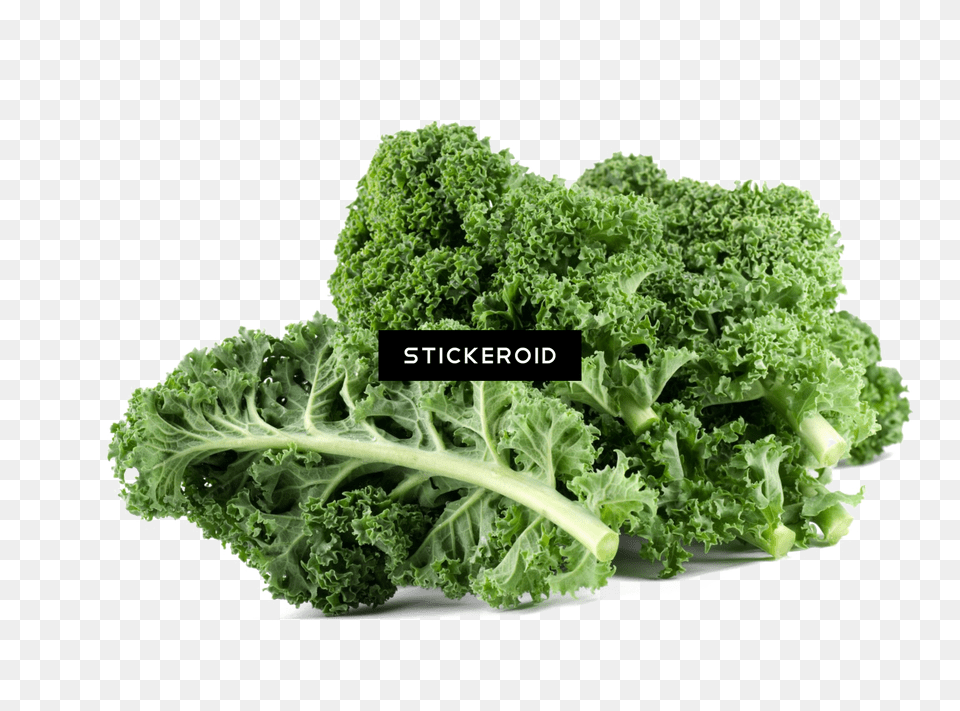 Kale Food Plant Food Kale, Leafy Green Vegetable, Produce, Vegetable Png