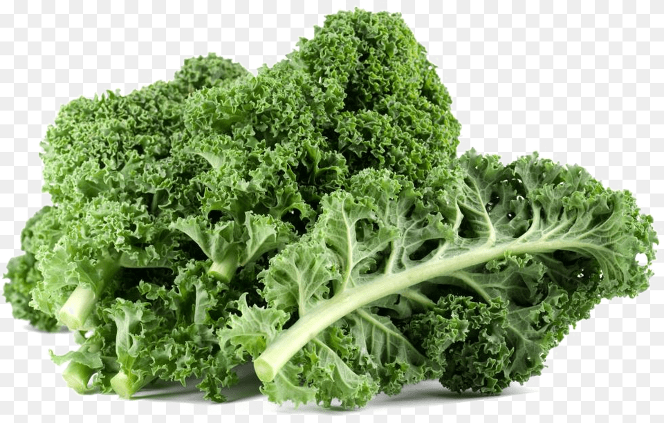 Kale Download Kale, Food, Leafy Green Vegetable, Plant, Produce Free Transparent Png