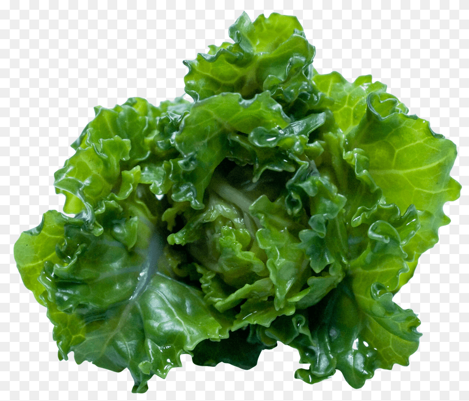 Kale Image, Food, Lettuce, Plant, Produce Free Png
