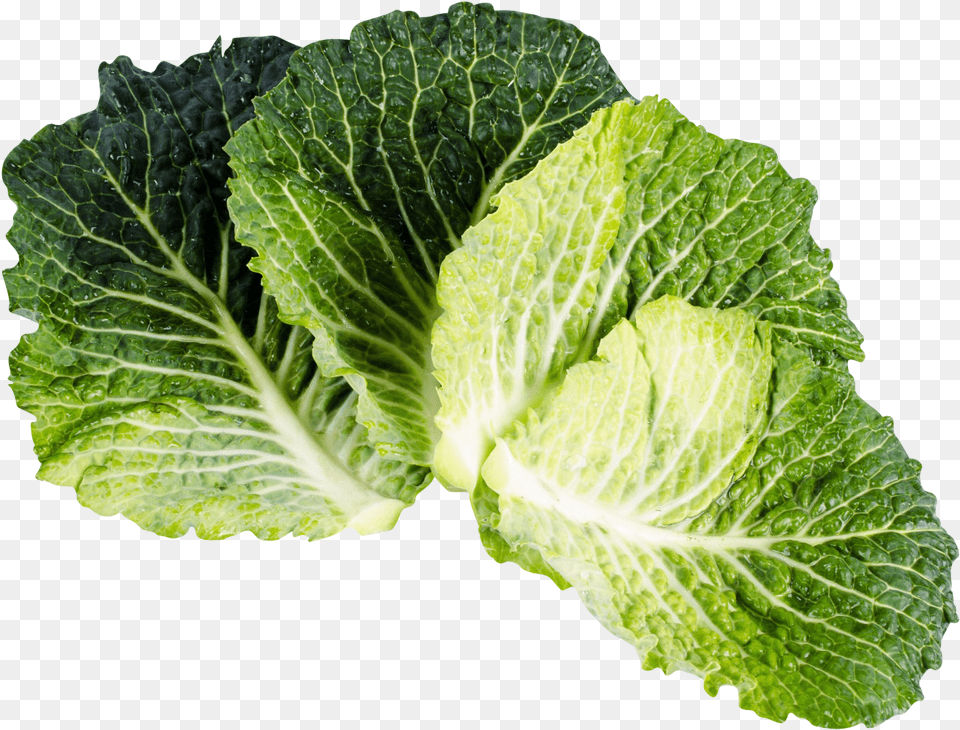 Kale Image For Kale Isolated, Food, Plant, Produce, Leafy Green Vegetable Png