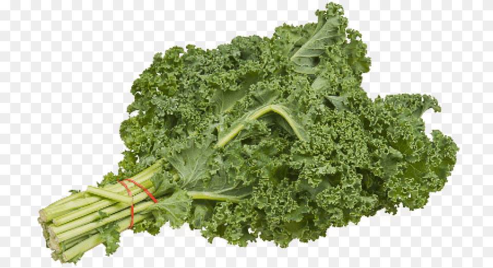 Kale Images Transparent Bundle Of Kale, Food, Leafy Green Vegetable, Plant, Produce Free Png Download