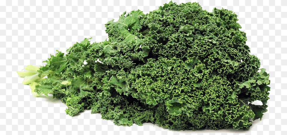 Kale Images Transparent Kale, Food, Leafy Green Vegetable, Plant, Produce Free Png Download