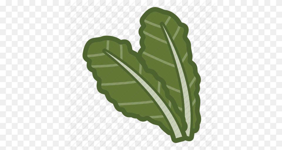 Kale Leaf Salad Vegan Vegetable Icon, Plant, Food, Produce, Lettuce Free Png