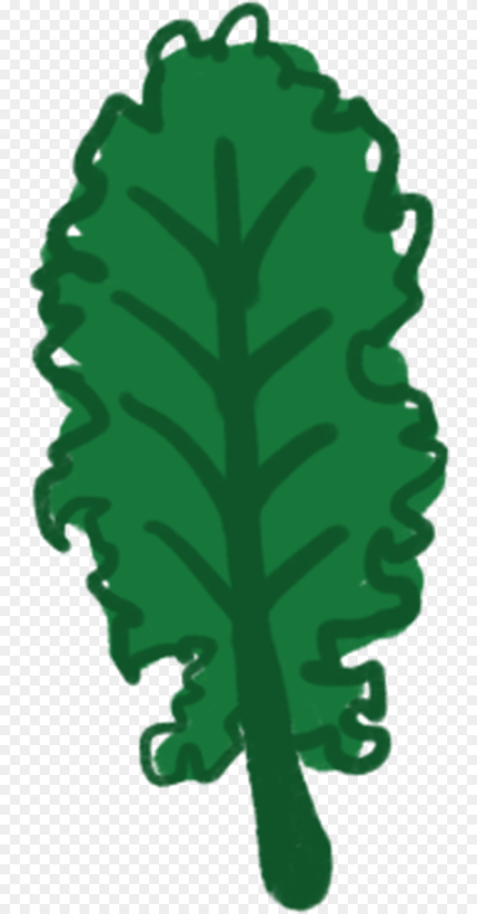 Kale Lettuce, Green, Leaf, Plant, Food Png Image