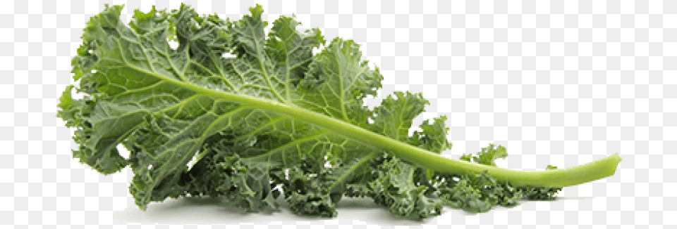 Kale Pic Images Transparent Kale, Food, Leafy Green Vegetable, Plant, Produce Free Png