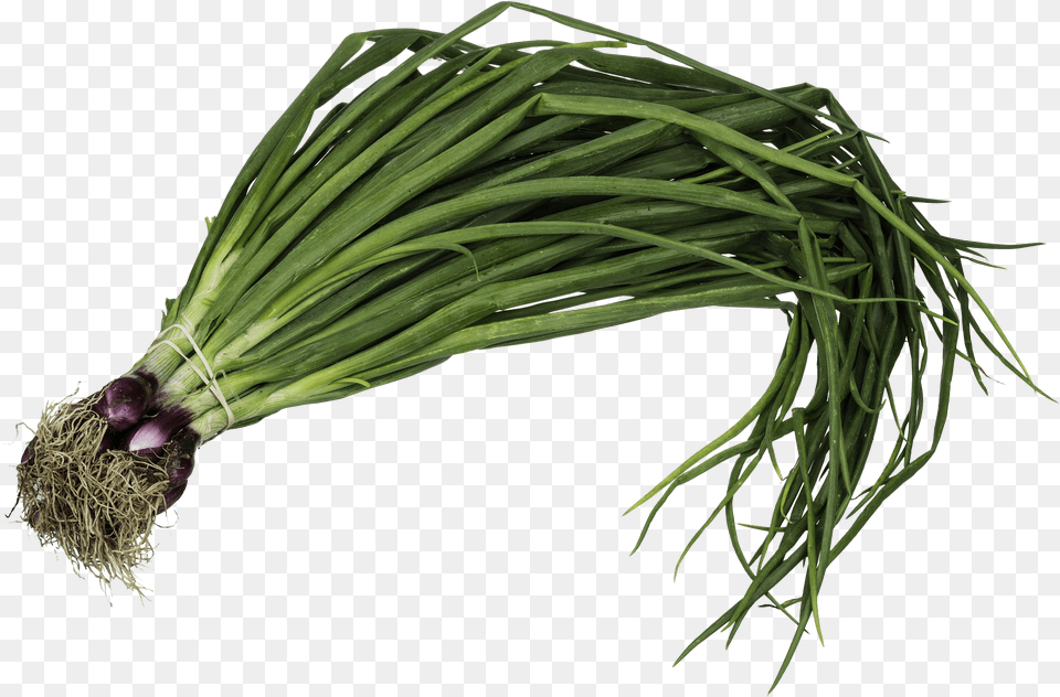 Kale Planta De Cebolla De Verdeo, Food, Plant, Produce, Spring Onion Png