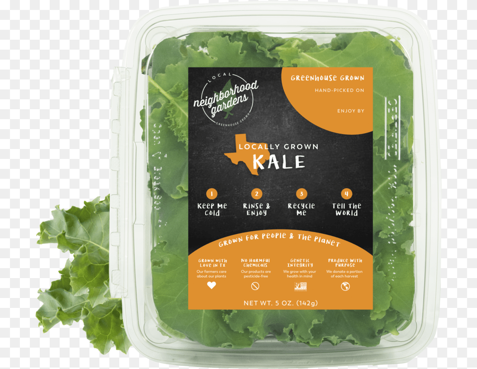 Kale Sample Kale, Food, Leafy Green Vegetable, Plant, Produce Png Image