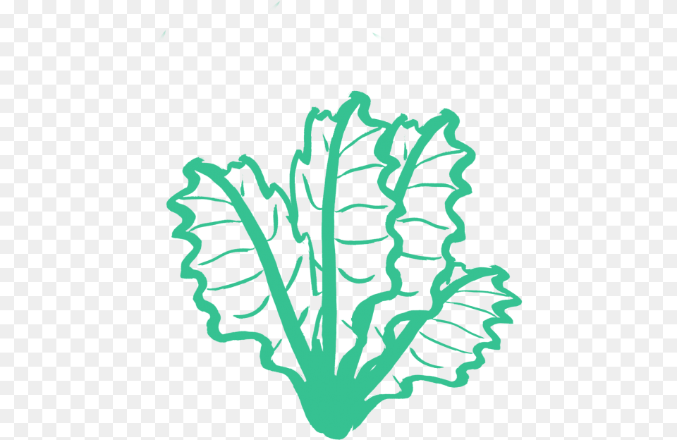 Kale Silhouette Limited Time Sign, Leaf, Plant, Food, Produce Free Png Download