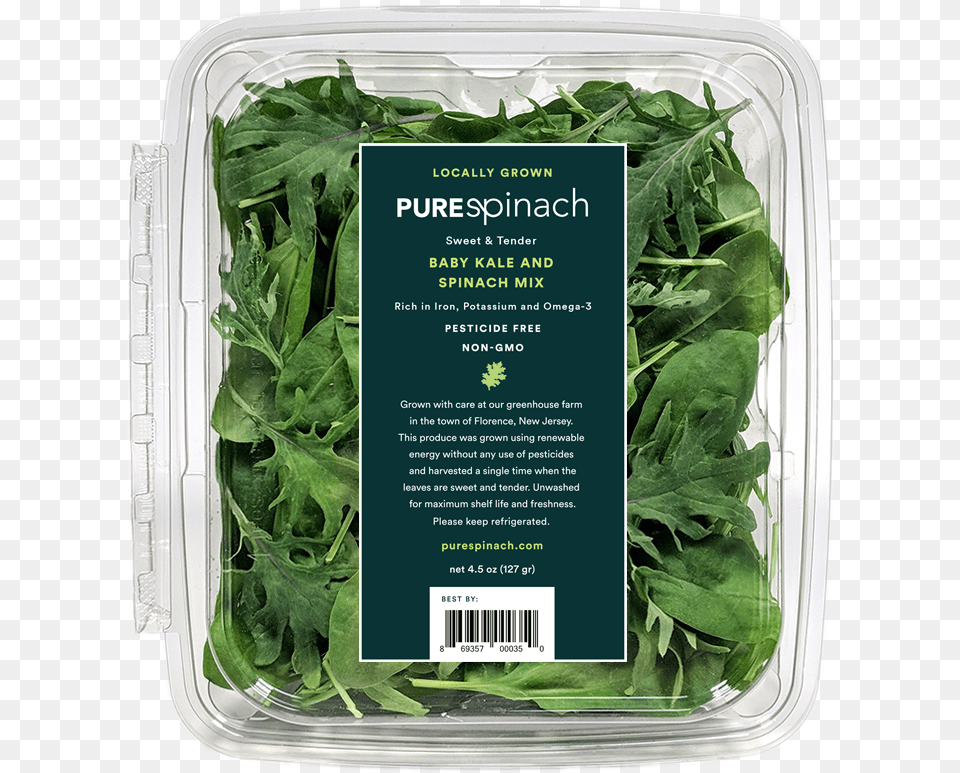 Kale Spinach, Arugula, Food, Leafy Green Vegetable, Plant Png Image