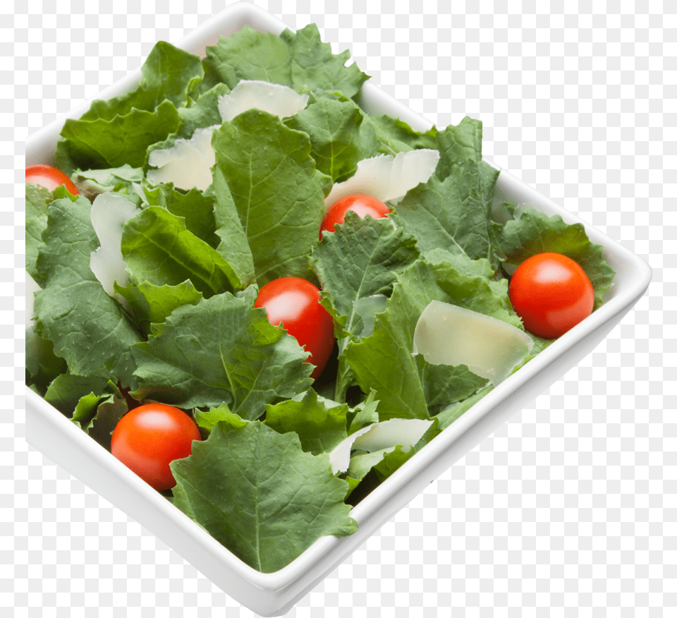 Kale Transparent Lettuce Clip Art Salad, Plate, Food, Lunch, Meal Free Png Download