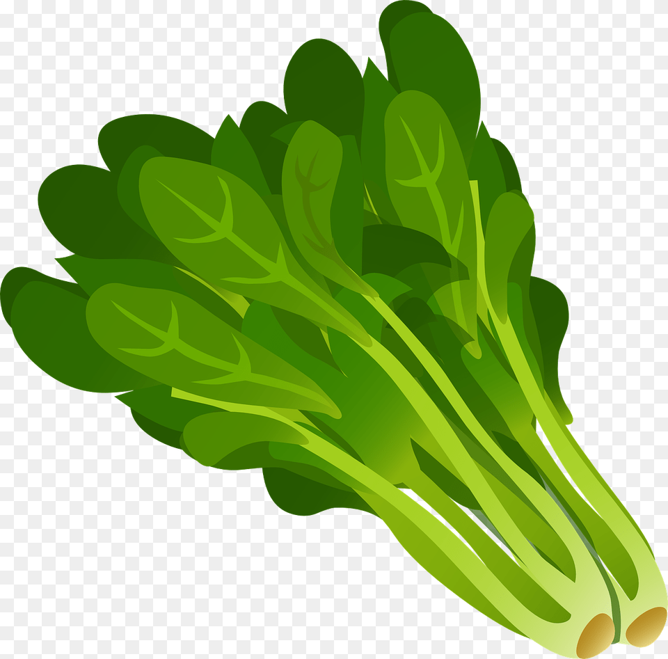 Kale World Betapage, Food, Plant, Produce, Leafy Green Vegetable Png