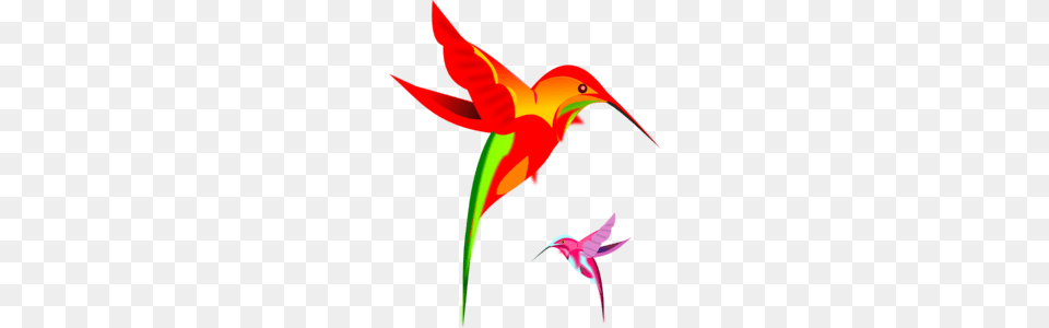 Kaleidoscope Clip Art Vector, Animal, Bird, Hummingbird, Beak Png Image