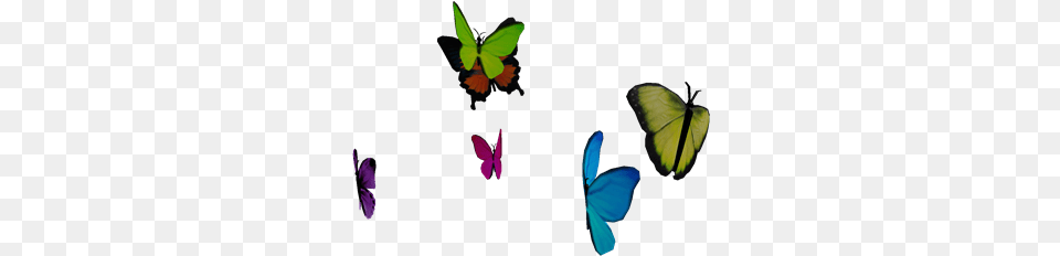 Kaleidoscope Of Butterflies Roblox, Animal, Bird, Flying, Butterfly Free Png