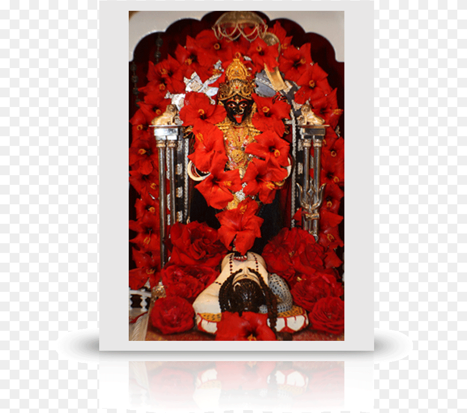 Kali Mata, Flower Arrangement, Flower, Plant, Prayer Free Png