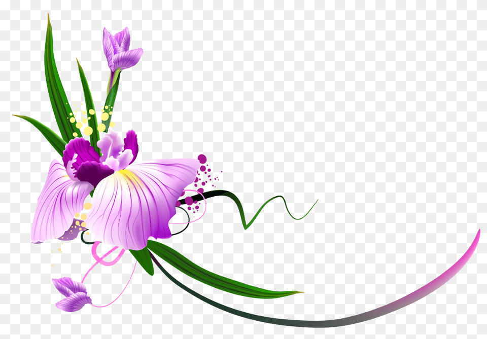 Kalinka Flowers Floral, Graphics, Art, Floral Design, Flower Png Image