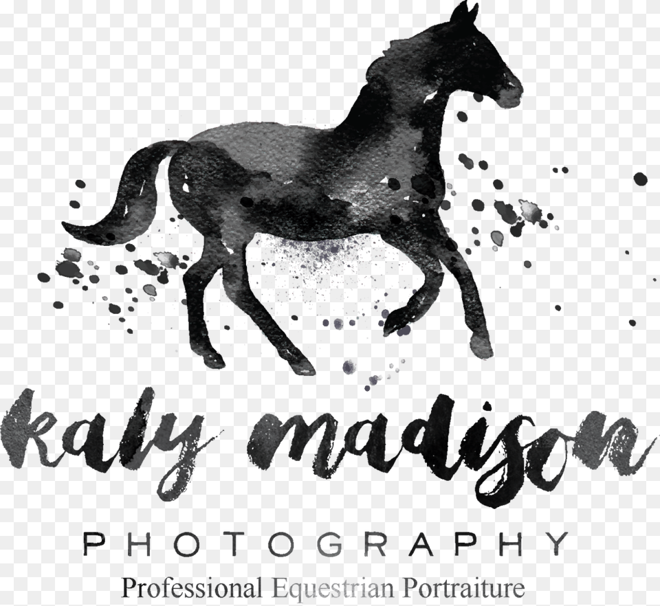 Kaly Logo, Animal, Mammal, Bear, Wildlife Png