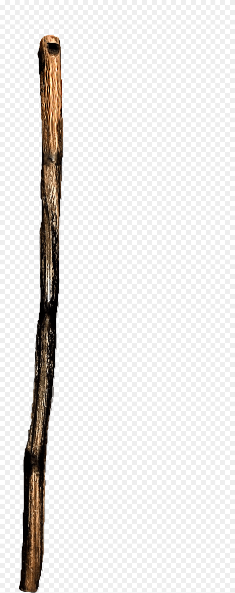 Kalyuka Sdelannaya Iz Borshevika Tree Stick Free Png