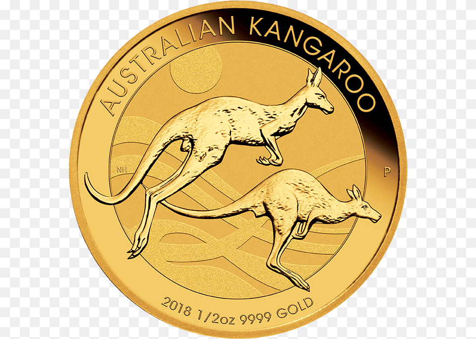 Kangaroo 12 Oz Gold Coin 2018 Kangaroo Gold Coin, Animal, Antelope, Mammal, Wildlife Free Png Download