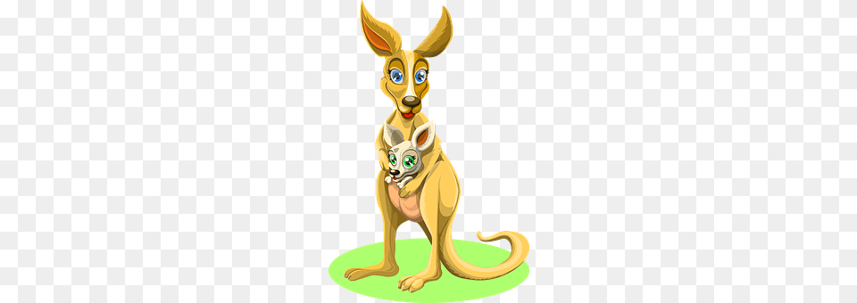 Kangaroo Animal, Mammal, Pet Free Transparent Png