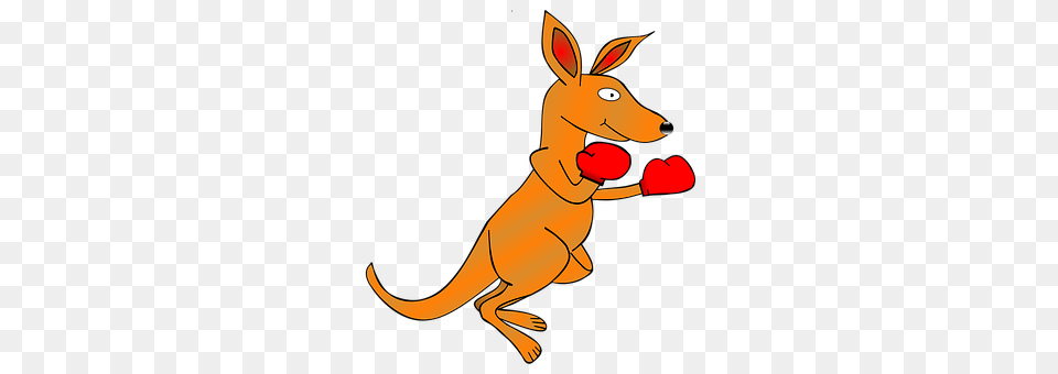 Kangaroo Animal, Mammal Free Png