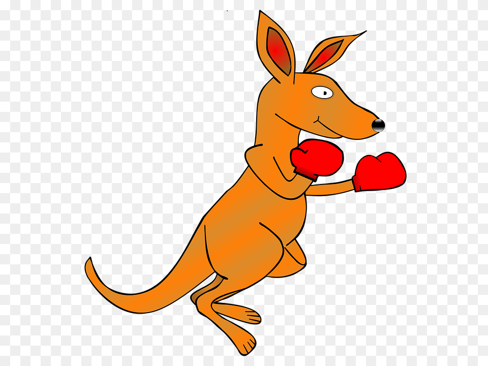 Kangaroo Animal, Mammal Free Png Download