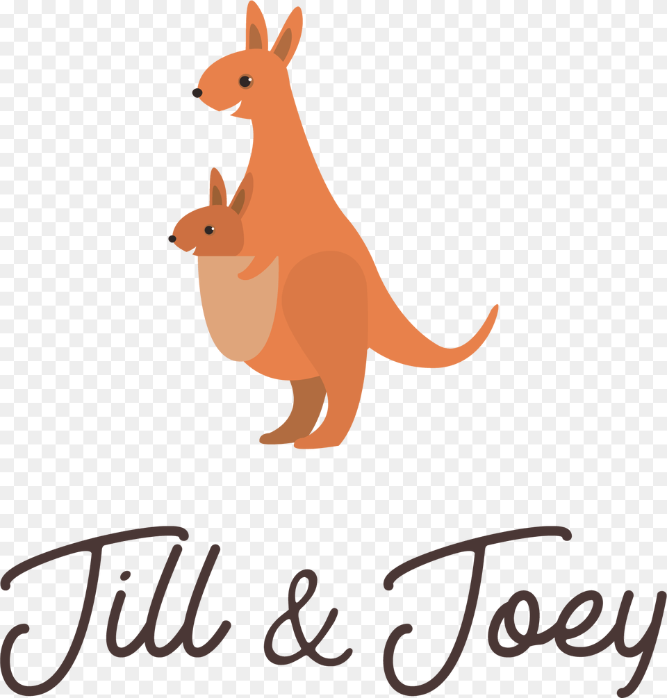 Kangaroo, Animal, Mammal Free Transparent Png