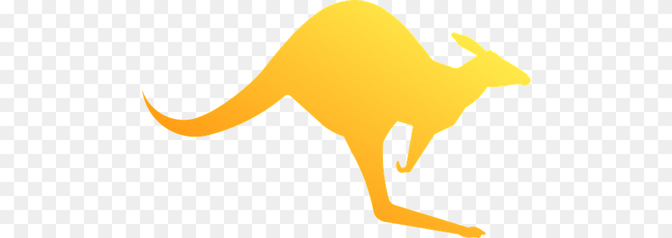 Kangaroo Animal, Mammal Png Image