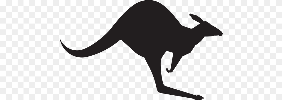 Kangaroo Animal, Mammal Png Image