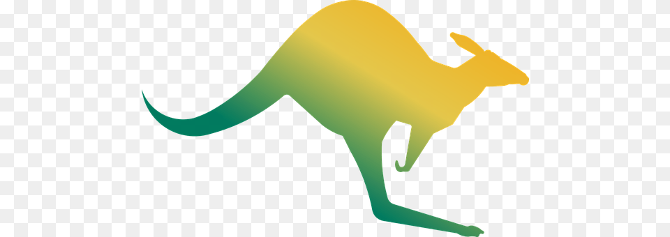 Kangaroo Animal, Mammal Free Png