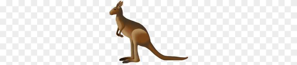 Kangaroo, Animal, Mammal Png Image