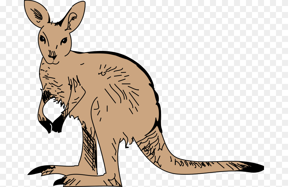Kangaroo Animal Clipart Pictures Org, Mammal, Cat, Pet Free Png
