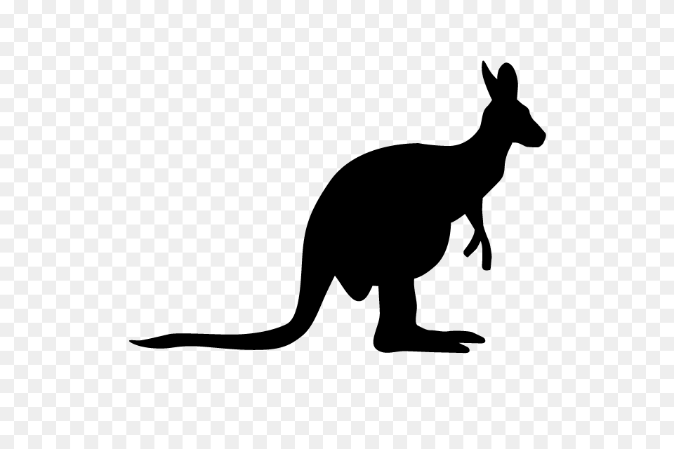 Kangaroo Animal Silhouette Illustrations, Gray Free Png