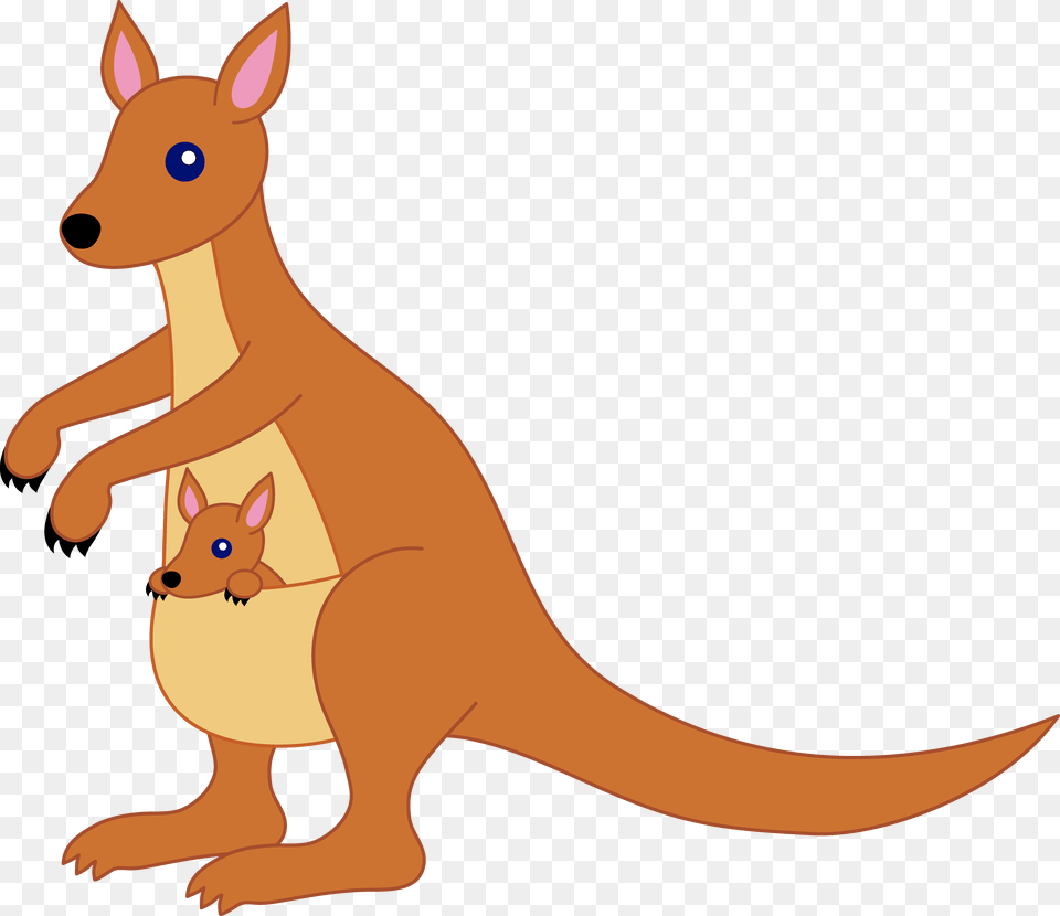Kangaroo Cartoon Free Download Kangaroo Clipart, Animal, Mammal Png