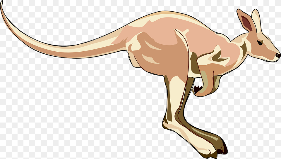 Kangaroo Clip Art, Animal, Mammal, Antelope, Wildlife Free Transparent Png