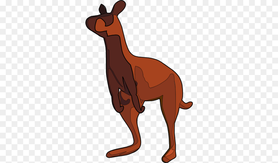 Kangaroo Clip Art, Animal, Mammal, Person Free Png Download