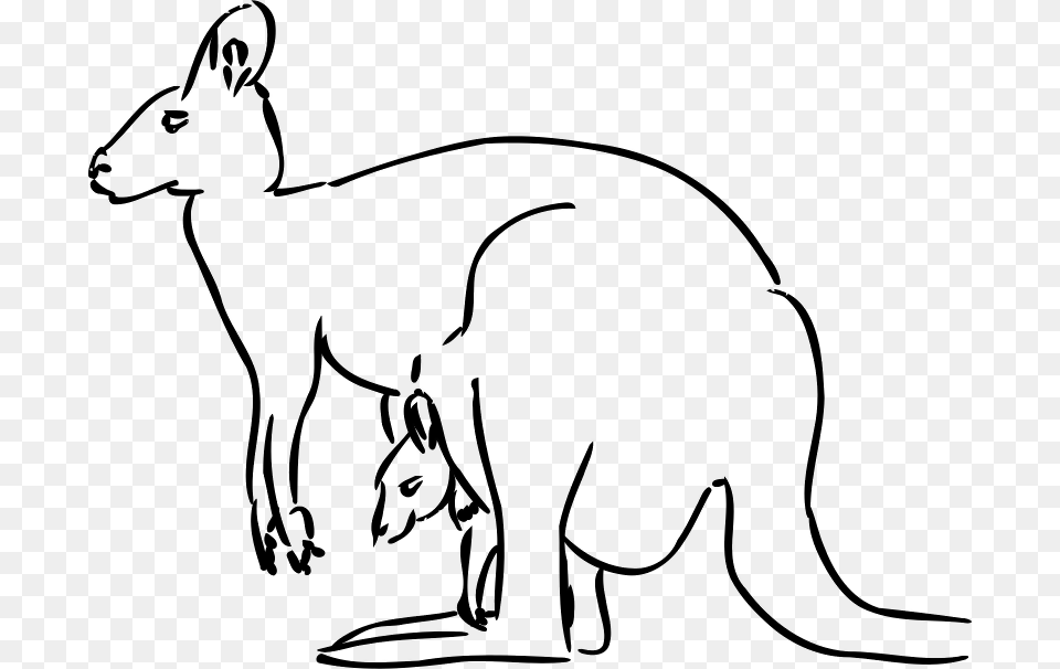 Kangaroo Clip Art, Gray Png Image