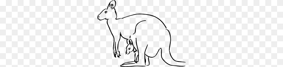 Kangaroo Clip Art, Animal, Mammal Free Transparent Png