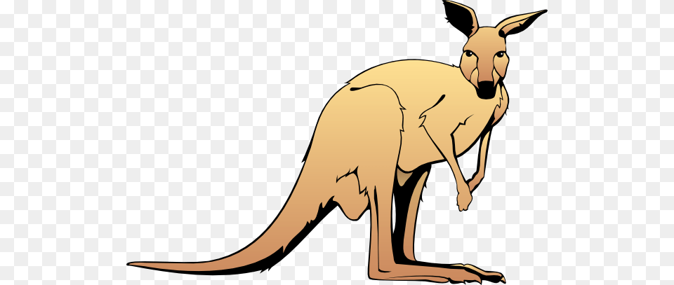 Kangaroo Clip Art Animalgals, Animal, Mammal Free Transparent Png