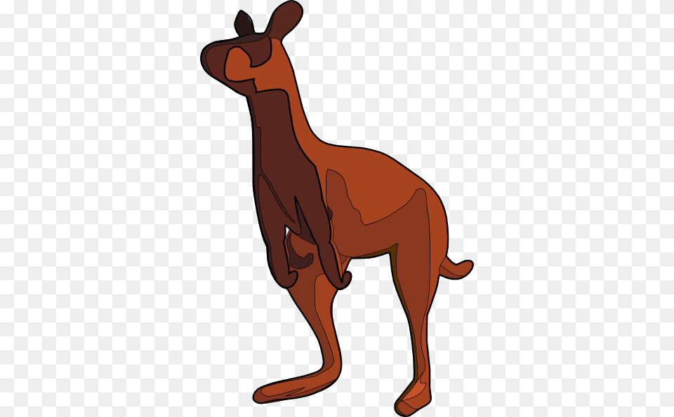 Kangaroo Clip Art Vector, Animal, Mammal Free Png Download