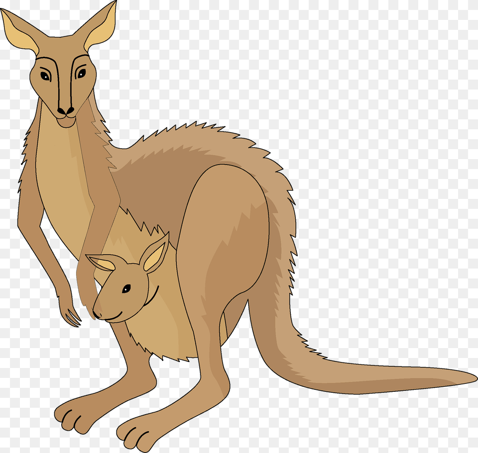 Kangaroo Clipart, Animal, Mammal Free Transparent Png