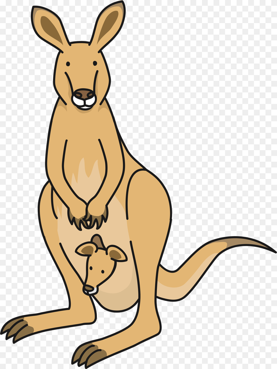 Kangaroo Clipart, Animal, Mammal Png