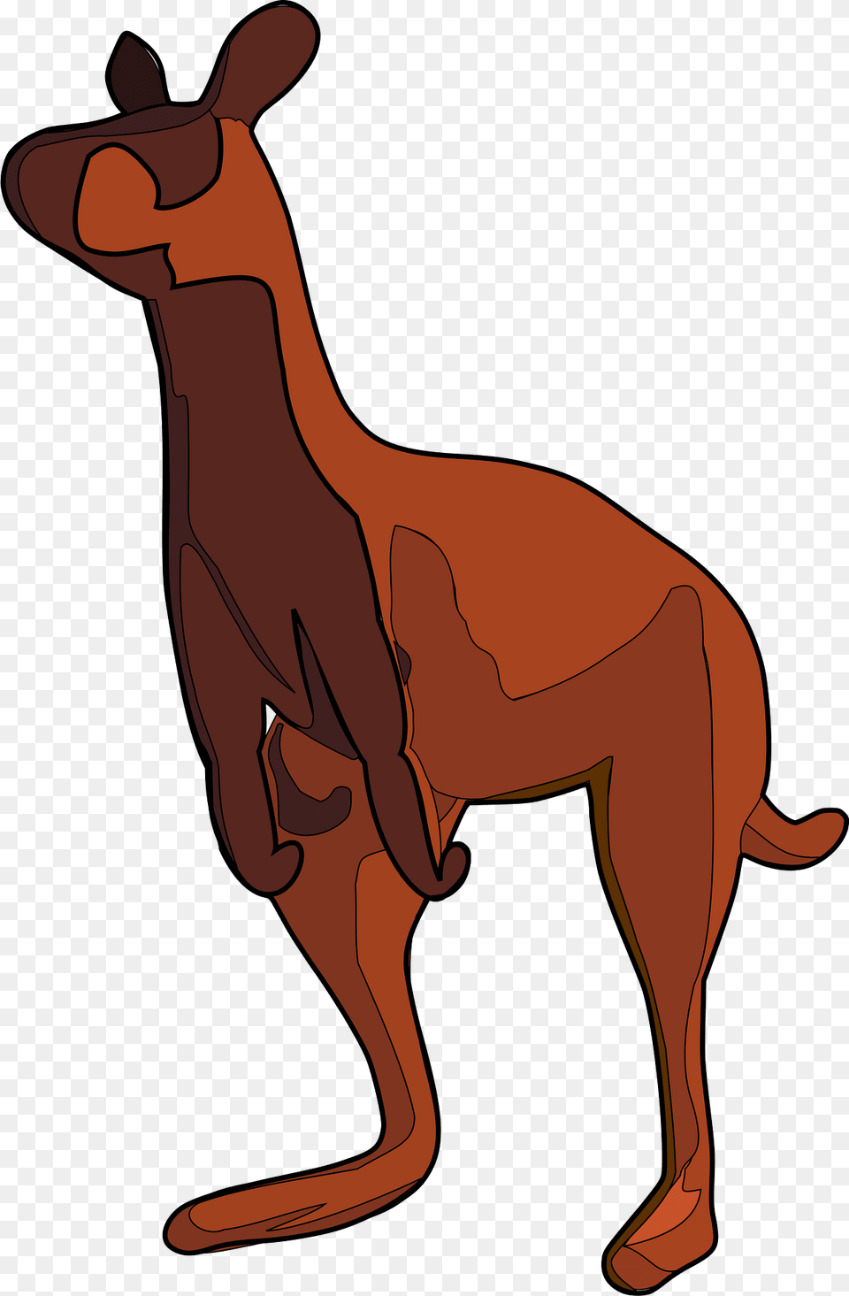 Kangaroo Clipart, Animal, Mammal Free Transparent Png