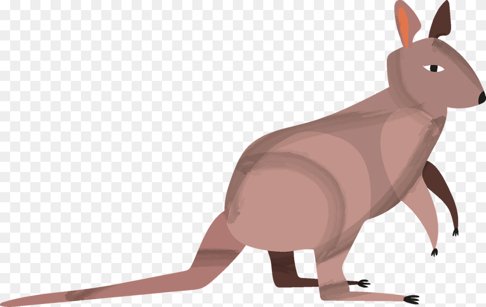 Kangaroo Clipart, Animal, Mammal Png