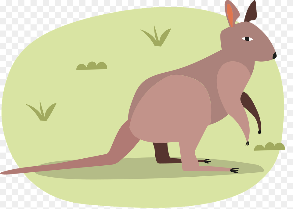 Kangaroo Clipart, Animal, Mammal Png Image