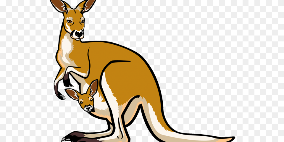 Kangaroo Clipart, Animal, Mammal Png Image