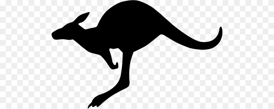 Kangaroo Clipart Black And White Nice Clip Art, Gray Free Transparent Png