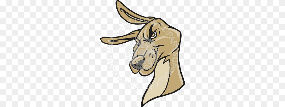 Kangaroo Clipart Head, Animal, Mammal, Person, Goat Free Png Download