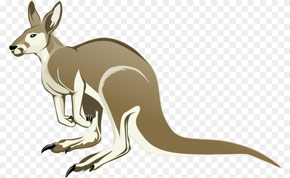Kangaroo Clipart Image Cartoon Kangaroo Background, Animal, Mammal Free Transparent Png